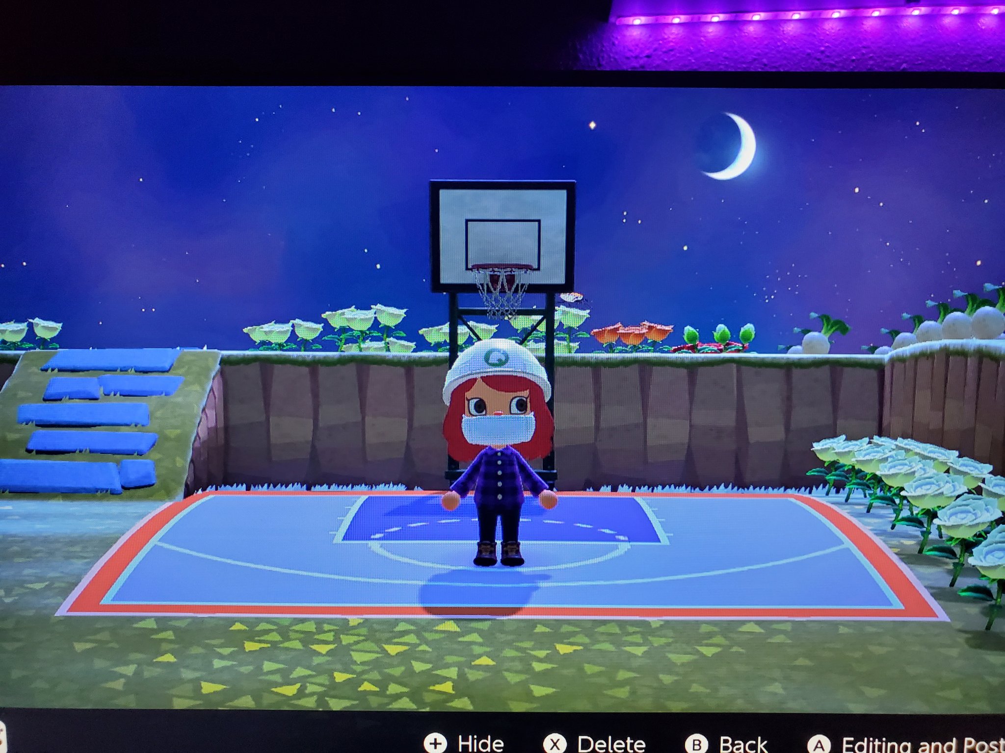 Jentuition 🦋 on Twitter: "I made a basketball court 😀 #ACNH #Basketball  https://t.co/LCXiEHv0wK" / Twitter