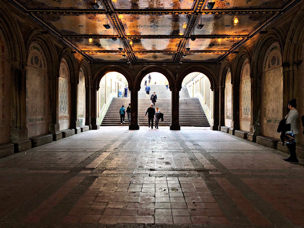 Cameron Fischer tweet media