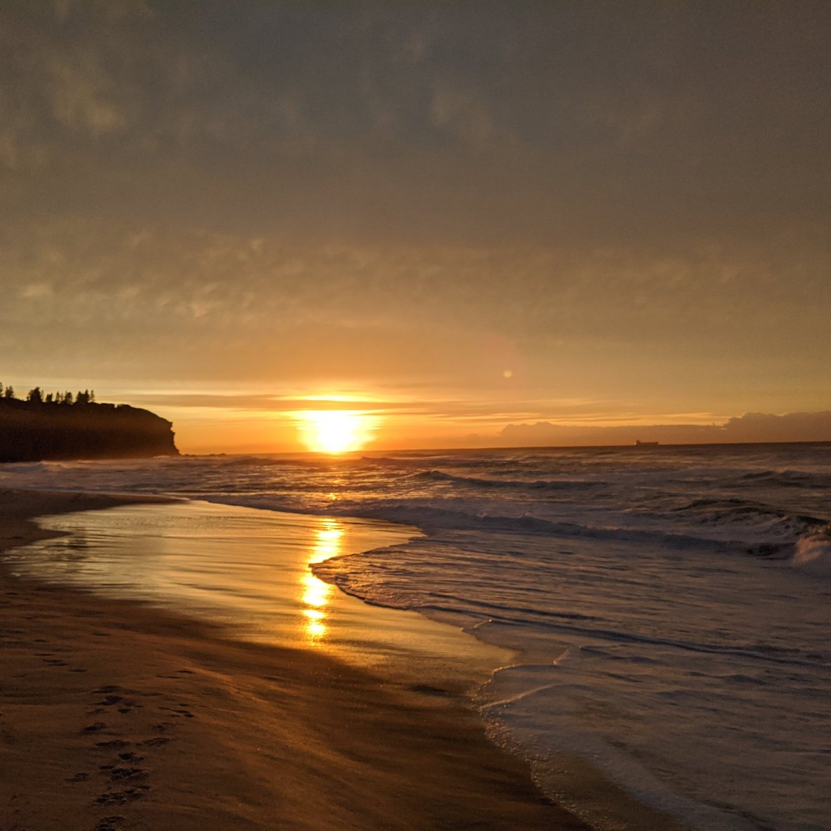 tj_author's tweet image. Redhead Beach today
#sunrise
