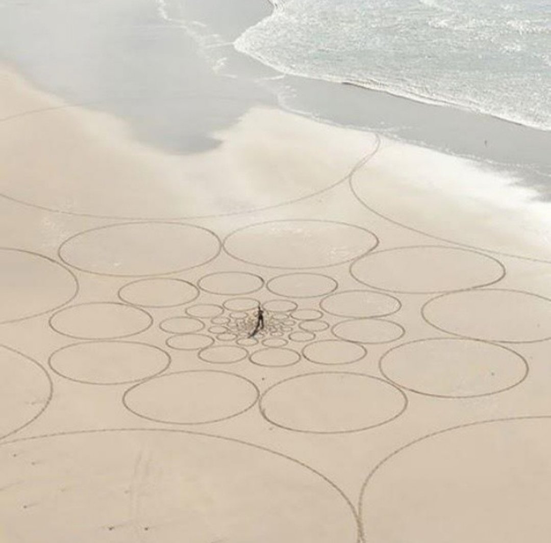 QuiqueNogueras's tweet photo. 3️⃣7️⃣
El surfista, xef i artista #JimDenevan és un dels referents de l’anomenart #LandArt, un corrent artístic que demana treballar a camp obert i únicament amb materials naturals. Elabora espectaculars obres efímeres a platges, deserts o llacs congelats. 👍😊 #artvscoronavirus https://t.co/WMVnN3PB5z
