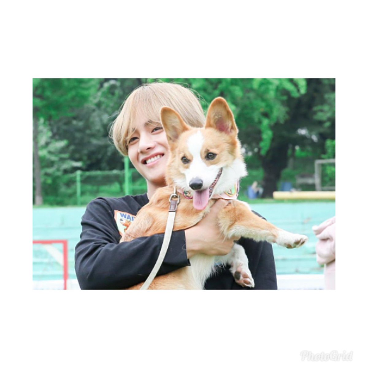 juri_army_2018's tweet photo. 初タグ💗

📌宮崎army🌴

📍04line 中2 (ヨジャ🚺)

📌テギ🦁×🐭よりのおーるぺん

📍雑食系です

📌鬼絡み希望💗

#ARMYさんと繋がりたい
#armyさんと猛烈に絡みたいのでRTしてくれた方フォローします https://t.co/9XkUIpdvaQ