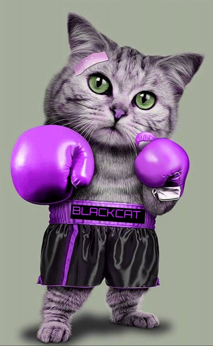 BlackcatBoxing's tweet photo. https://t.co/voVWswfixS
