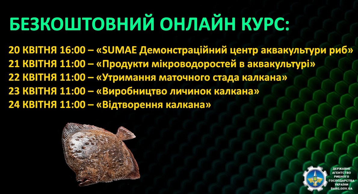 darg_ua's tweet photo. Запрошуємо громадян пройти безкоштовний онлайн-курс Центрального науково-дослідного інституту рибальства та аквакультури (м. Трабзон, Туреччина)

Деталі 👉https://t.co/Fj0cMYlwMz https://t.co/ziNk1GYlan