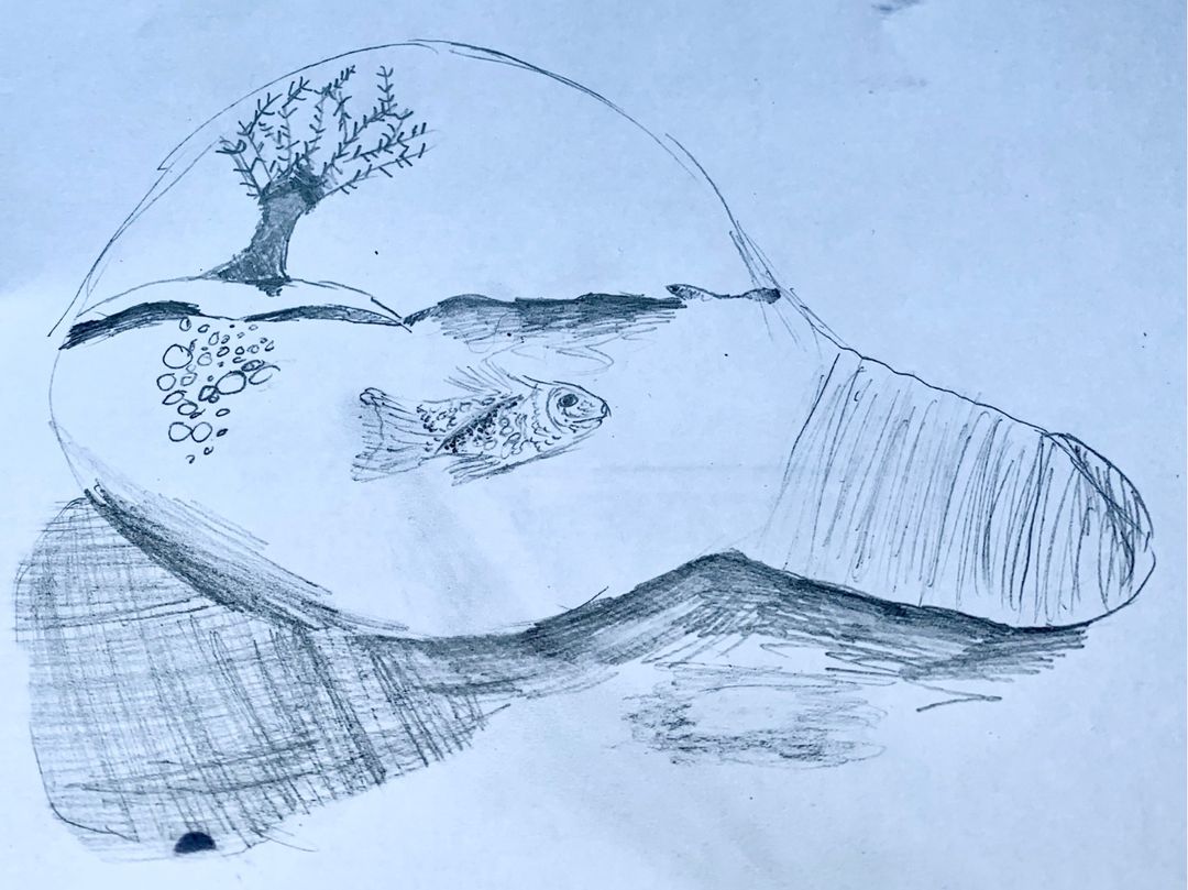 'Artist of the Week' goes to... Gemma in Y6 Red!

So impressed with Gemma's imaginative ideas and amazing use of tone! Well done Gemma!  

<a href="/VHPS_Year6/">Year 6 | Victory Heights Primary School</a>