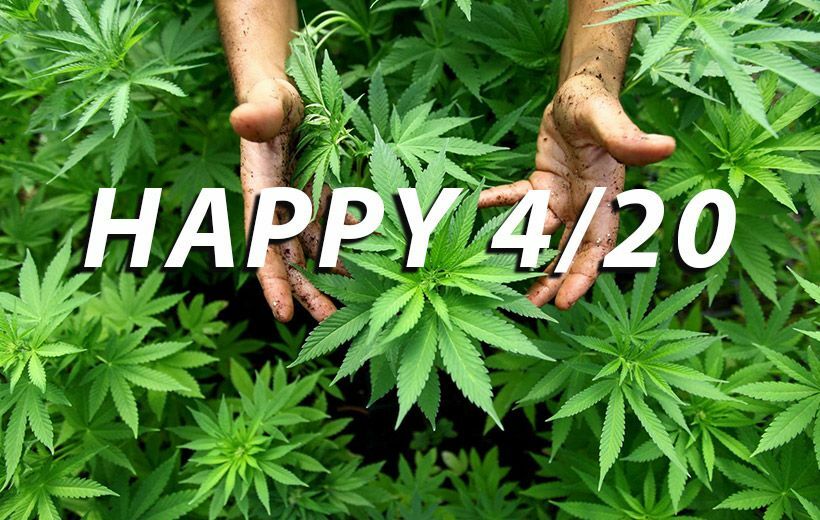 Hari Ganja Internasional, Apa Arti Sejarah 420 yang Sebenarnya?   ift.tt/3eCwfRd