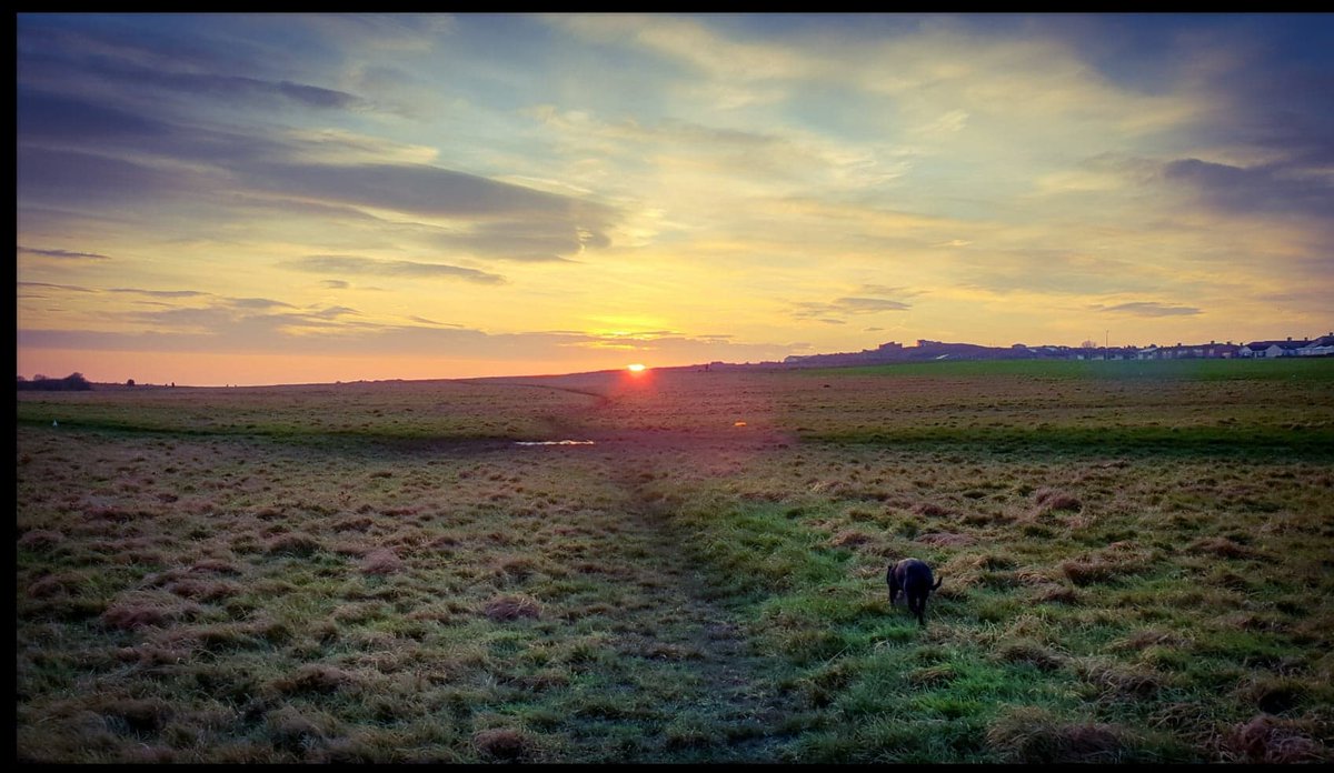 TheSavvyStoic's tweet image. Wake up early to see the sunrise &amp;amp; appreciate this beautiful world we live in! ❤️  

#LoveLife #GetUpEarly #Stoic #PhilosophyLover #Sunshine #DailyWalk #StayPostive #EarlyRise #Positive #OwnTheDay #AmorFati #The_Savvy_Stoic #ThisIsMine #SouthShields #OneWalkADay