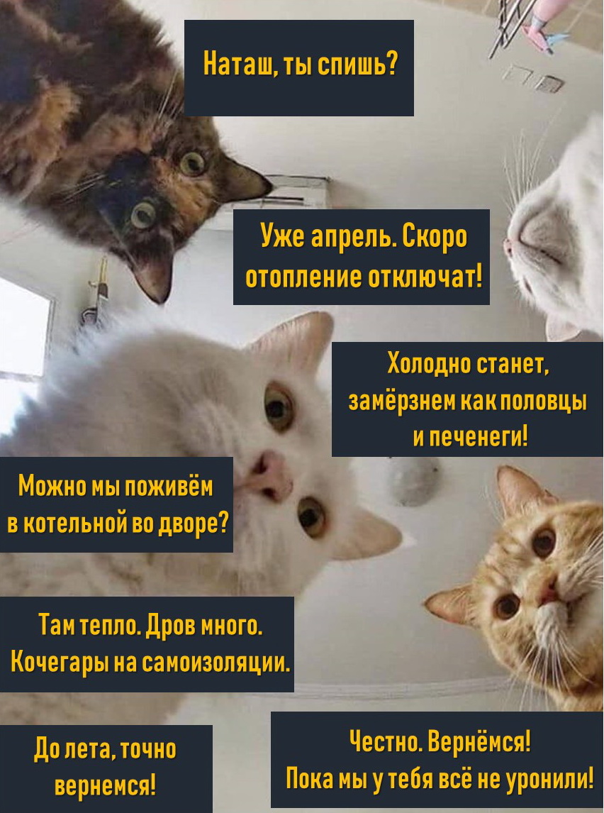 vtek43 tweet picture