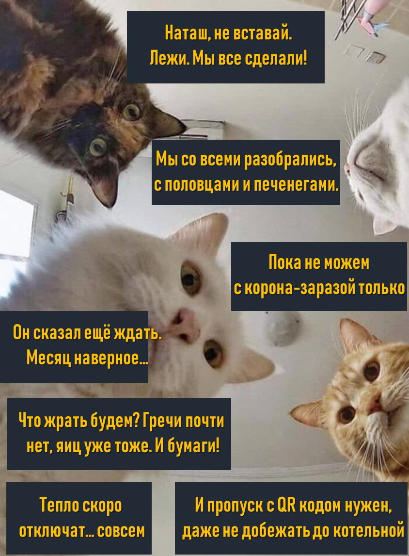 vtek43 tweet picture