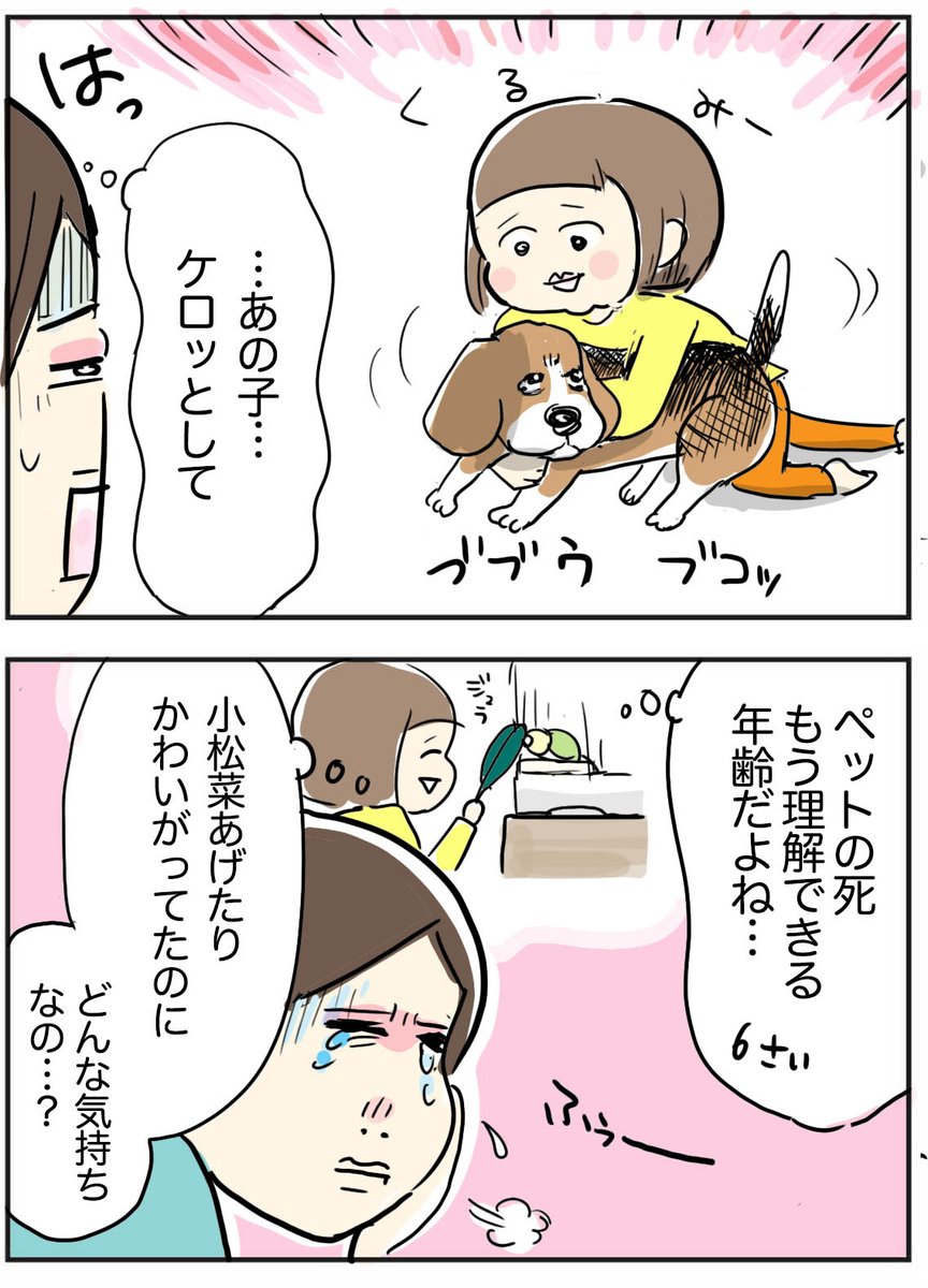 ブログ更新しました!
悲しみ方は人それぞれ
https://t.co/2MPJ9O3nhY
喪失感がワンテンポ遅れてやってくる次女の話
前回の記事では温かいお言葉をかけてくださりありがとうございました。 #ペットロス