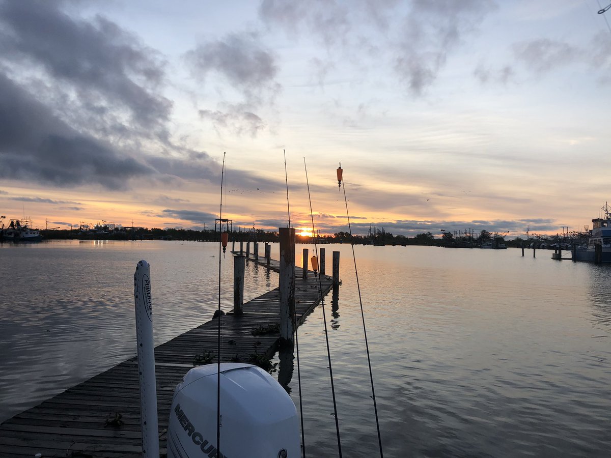 LOATV Show tweet media