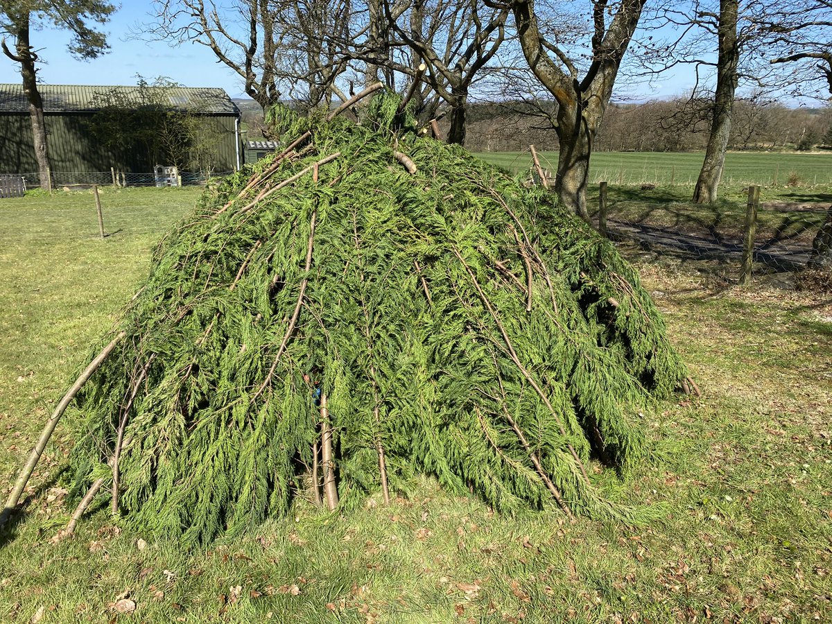 lyn_howie's tweet photo. Fantastic outdoor classroom built by Gregor &amp; Ruby. Ready for the new term this morning . #outdoorlearning @ArmadalePrimary  @HOPHowies https://t.co/rBUqgCPd2H