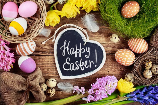 PlataOOOPlomo's tweet photo. #HappyEaster https://t.co/SgILmjrDKI
