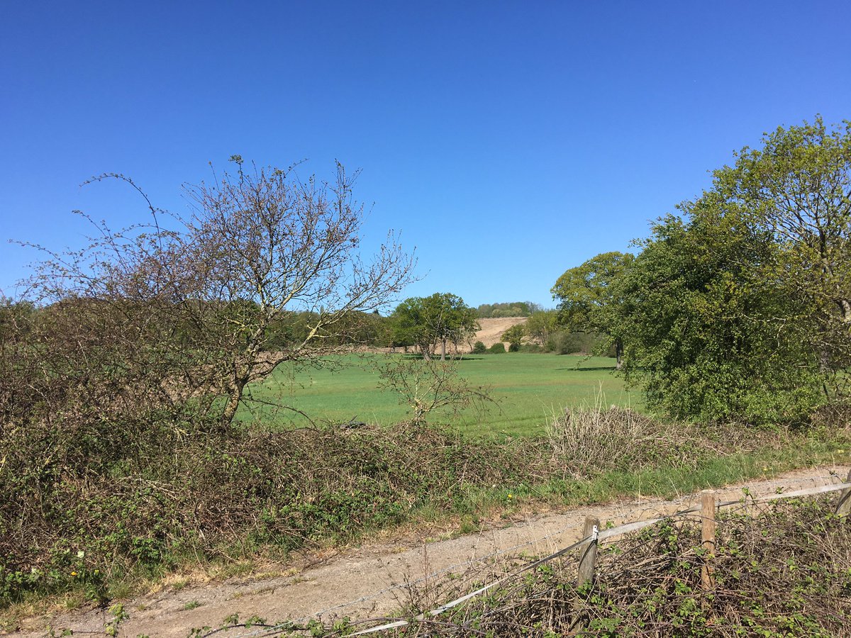GolfChronicle's tweet photo. This mornings walk a tantalising over-the-fence peek at @TheDyeLondon progress. With a 40 meter elevation change this is an intriguing project. https://t.co/tIIMp5gFTe