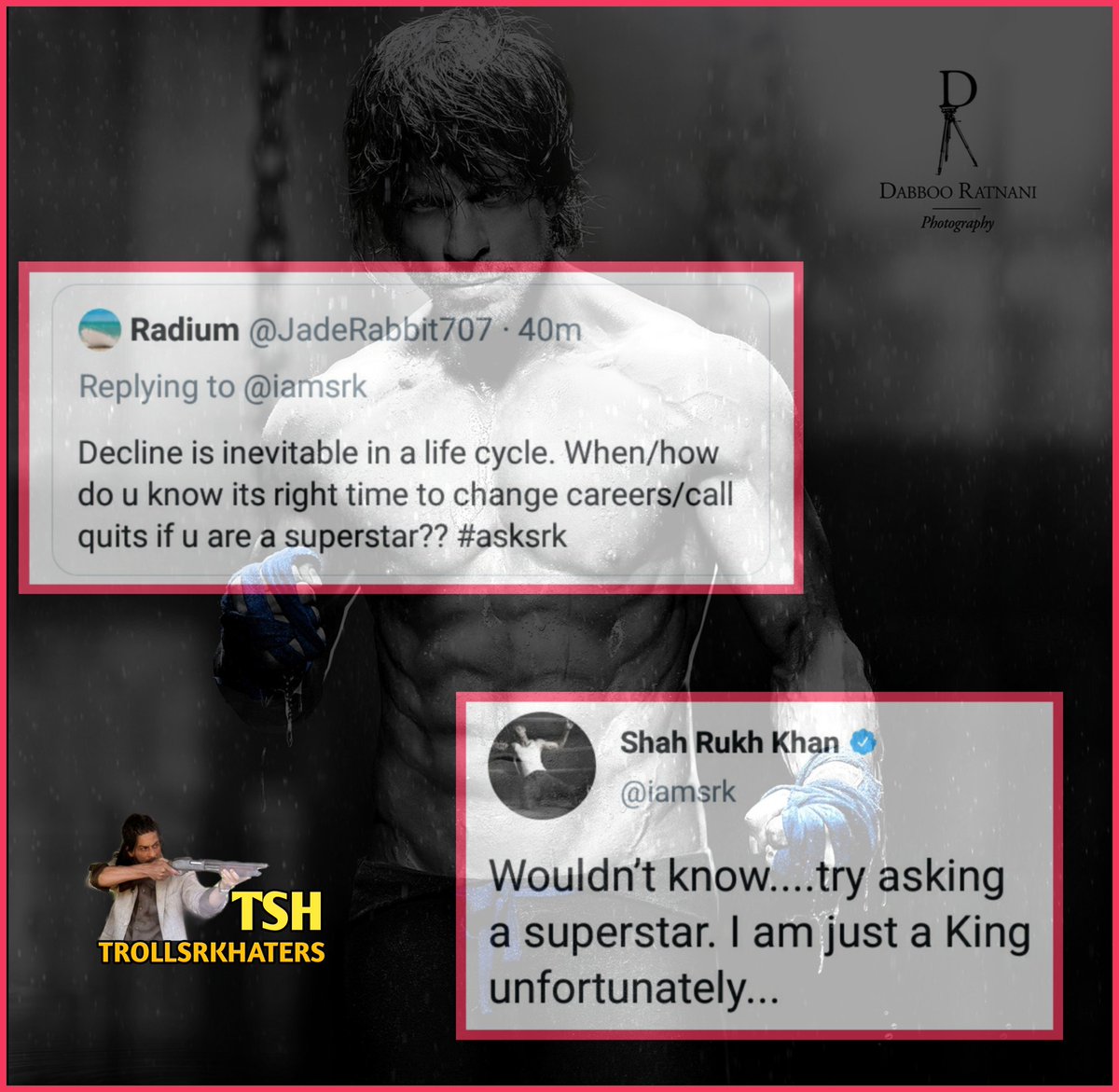 Troll Srk Haters On Twitter He Is King Asksrk twitter