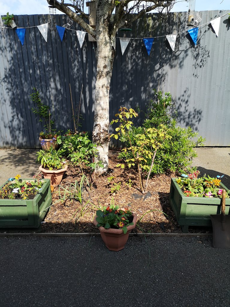 coltsassistant's tweet photo. @PlymUnit had a garden makeover today by myself, PTA Lisa and TNA Ross! Staff and patients now have somewhere nice to escape. Thankyou chaplains and plants galore for the flower donations @livewellsw #greenfingers #rehab #Mindfulness #newadminteamrules https://t.co/1EdOns1tAu