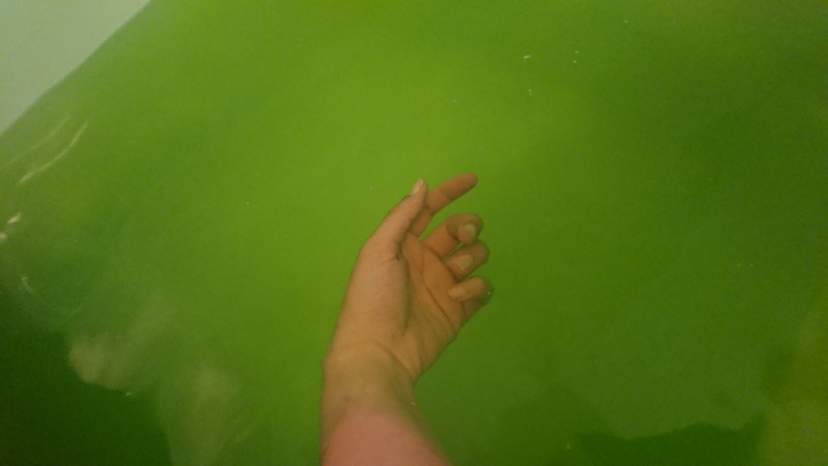 魔晄中毒 Hashtag V Twitter