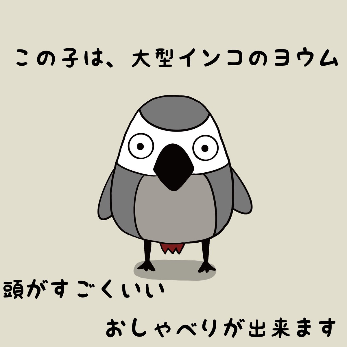 ねこぜ家漫画 3話 ヨウム イラスト 漫画 漫画が読めるハッシュ Kokemaruの漫画