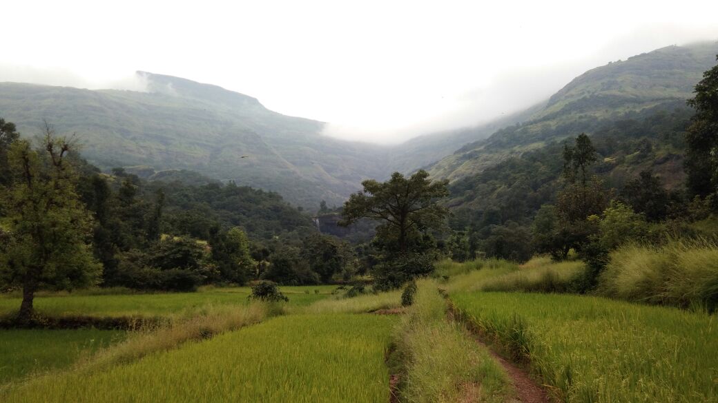 Self proclaimed isolation is always good in order to gain a spiritual growth. Connecting with nature is always mesmerising. 
The universe is communicating, touch your soul and feed it with all the positivity &amp; strength. Be brave enough to hear it. 

P.S. Images: Pre Lockdown