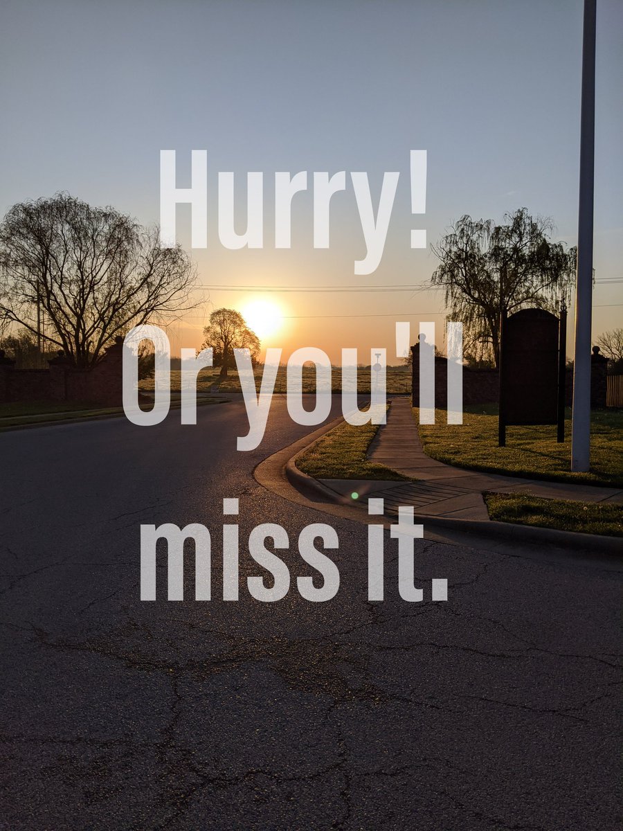 We're here! Travellers latte cart @villageathillstone. 3521 N Wakefield Dr Ozark MO

Serving lattes, tea, smoothies and more til 11am.