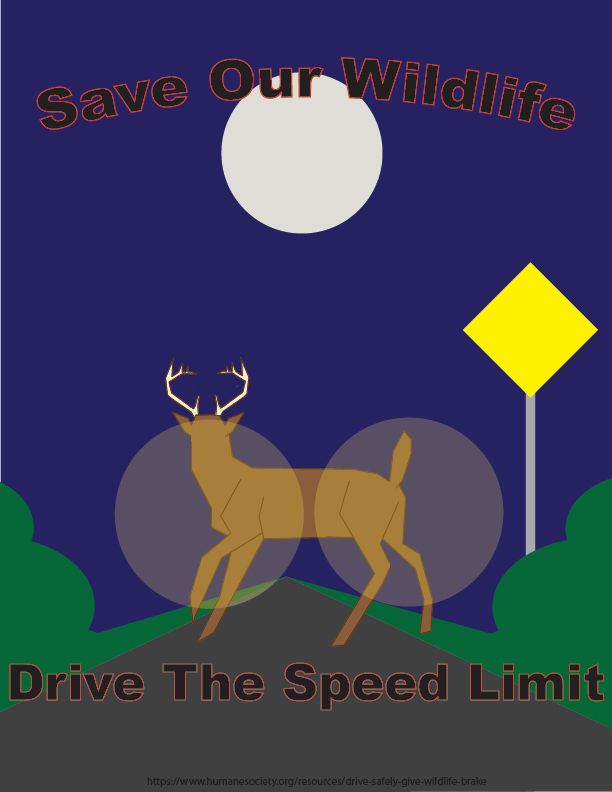 KHS_VisualArt's tweet photo. @KirkwoodHS Graphic Design students research and create PSAs for organizations during their #homelearning using vector drawing skills. Thanks @2023Kirkwood  Maggie Mallow, Chris Turner, Anya Broll, Maddie Johnson #adobeillustrator #GraphicDesign #PSA https://t.co/Yg96zWyL24