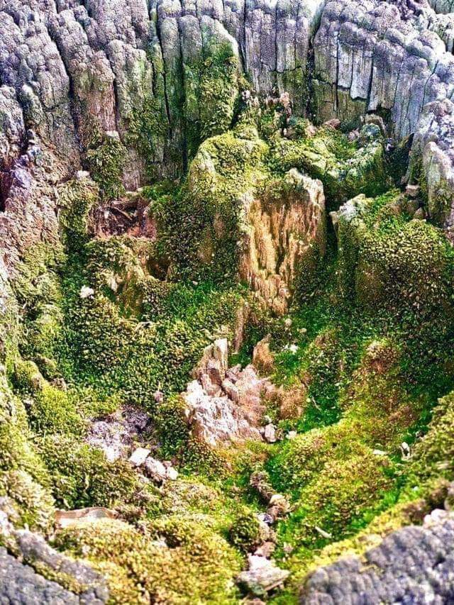 Drone shot of the spectacular 'Mierda de toro canyon' in Chile... Actually... Its just the top of a fence post. And 'Mierda de toro' means 'bullshit' 😎