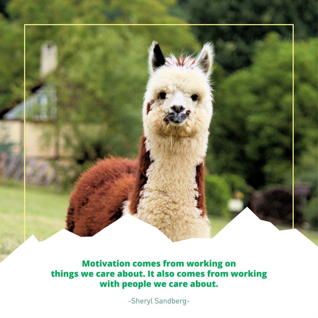 Door je waarden als organisatie duidelijk en gericht naar buiten te brengen, bereik je de juiste profielen. 👨🏻‍💻 Werknemers met dezelfde passies en ambities worden in je merkverhaal betrokken en stimuleren elkaar om samen met het bedrijf te groeien. 🌱
#LAMAWisdom #Qotd