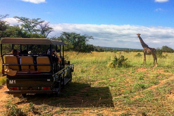 BushTimeMabula's tweet photo. The incredible wildlife of the #Mabula Private Game Reserve will be waiting for you when the lockdown is lifted... 

#BushTimeAtMabula https://t.co/9pcOkilK6J