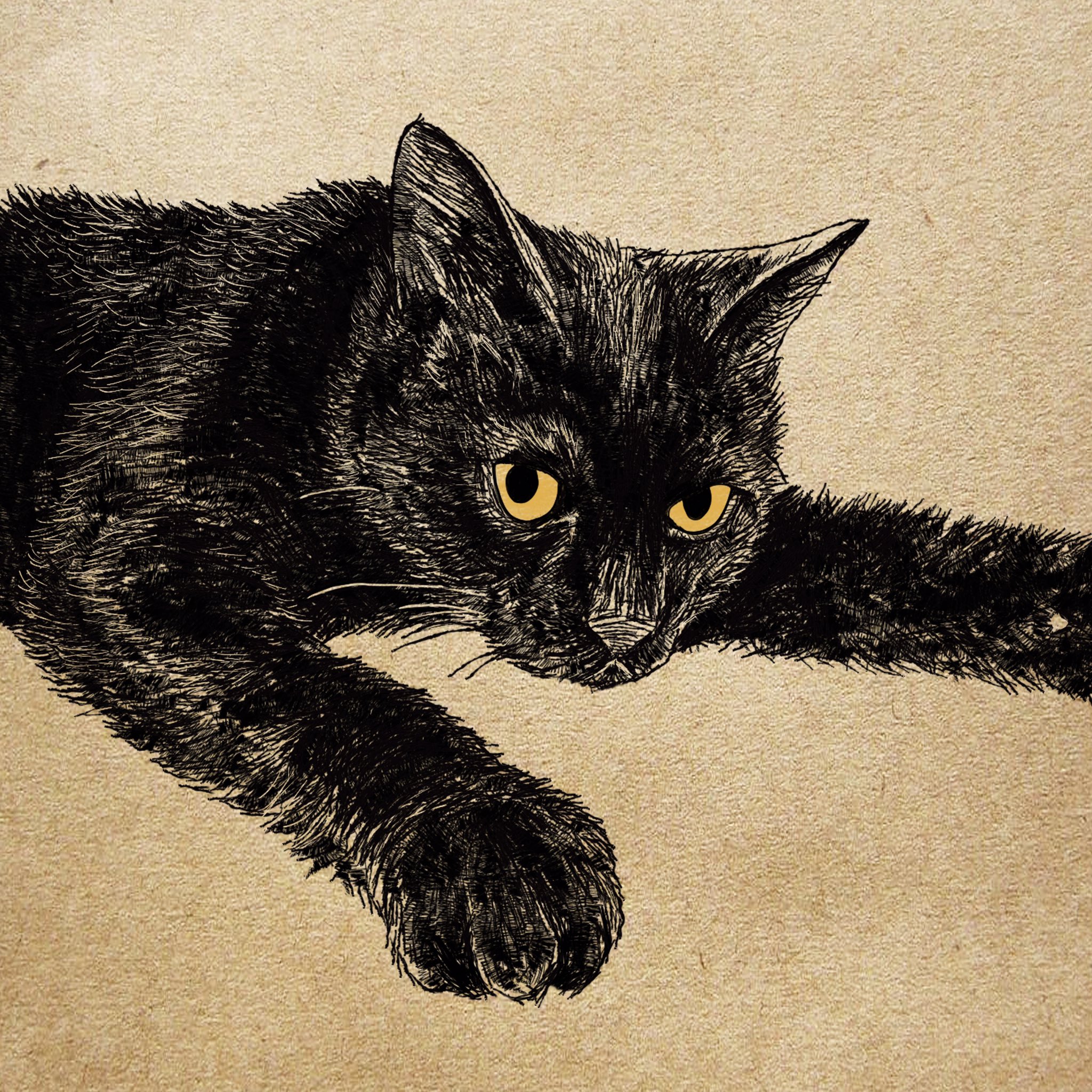 Twitter 上的 庭のこころ 365cat Art 毎日 癒されております 愛を感じます ほっこりを有難うございます Twitter