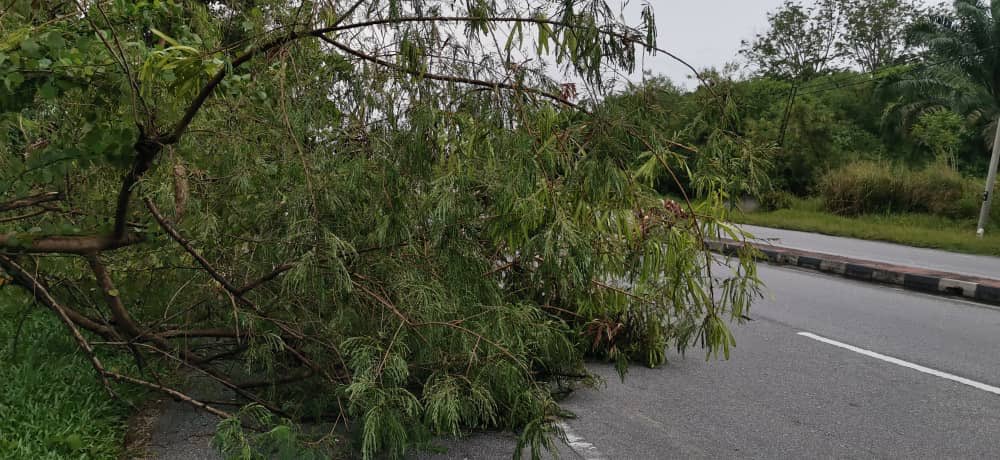 BELATI HQ tweet media