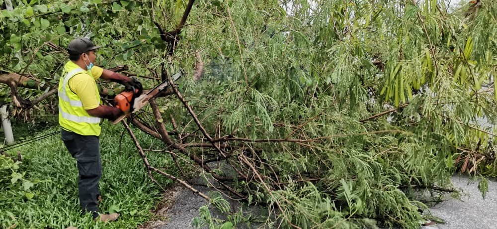 BELATI HQ tweet media