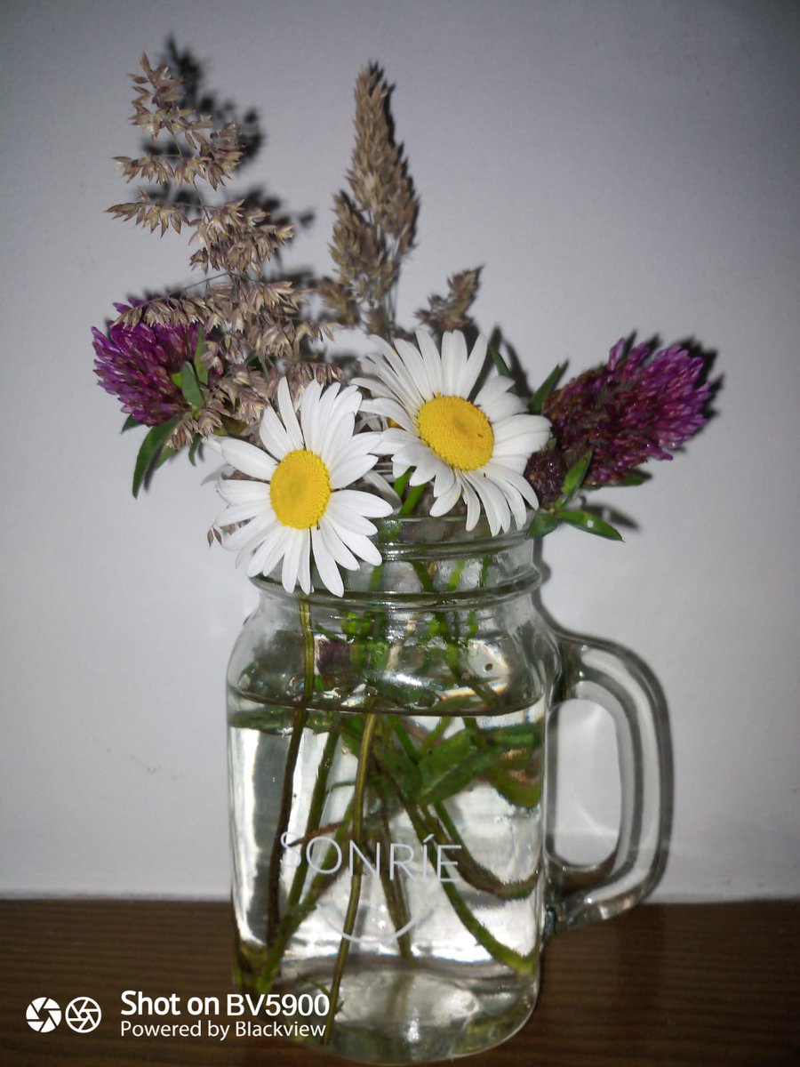 FerreriadeCades's tweet photo. Nos mandan estás bonitas flores con mensaje para comenzar el día... Qué mejor que compartilo con vosotros? #GraciasIsa #BuenosDiasATodos #YaQuedaMenos https://t.co/ED1GADWtra