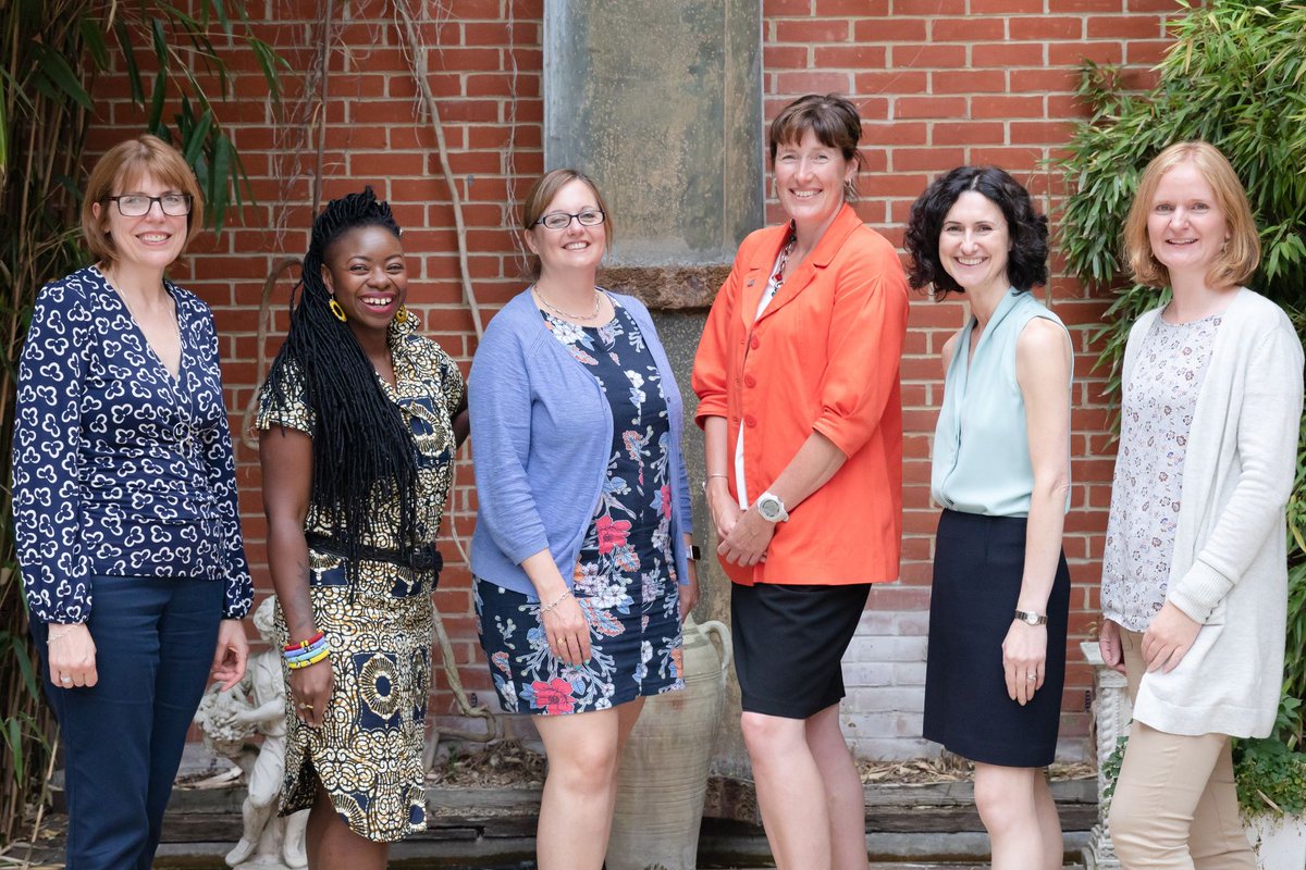 The Elischer Foundation tweet media