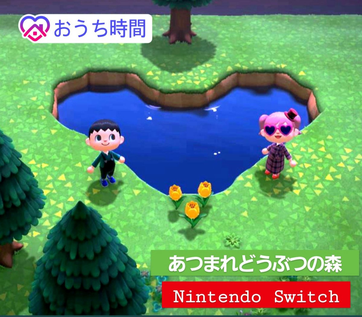 ニンテンドー スイッチ オンライン あつ 森