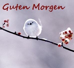 Hallo ich wünsche Euch allen einen schönen Montag ! Passt auf euch auf okay