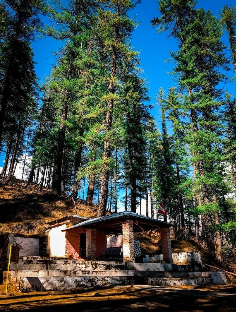 BHAVISHYA BADRI is one of the temple of Panch badri & Saptabadri pilgrimage situated on the bank of Dhauliganga river at a height of 2744 meter from sea level near Joshimath, Uttarakhand.This temple is established by Adi Sankaracharya. @LostTemple7