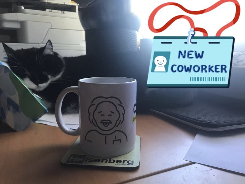ohaeuser's tweet photo. I got this awesome mug update from my #brandguardian friends :-) In the background you maybe notice my cat from my #celumium2020 presentation together with #gimborn. If you missed it contact me! #damunited #stayathome https://t.co/TOztlyE8y9
