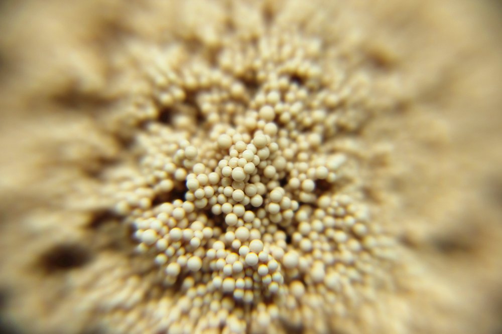 sunresin's tweet image. Refining resin and technology of hydrochloric acid by-product of chemical industry.
Learn more:seplite.com/refining-resin…
#adsorbentresin #ironremoval #Chemicalindustry #pesticideindustry #dyeindustry #pharmaceuticalsindustry