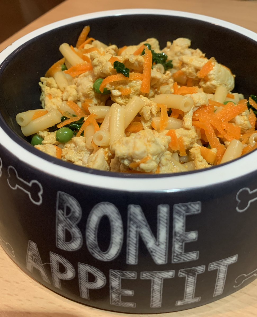 ScrivensWendy's tweet image. Turmeric chicken, macaroni, baby peas, grated carrot with a sprinkling of kale for our OAP  Old age pet - ISO diet heaven #cookingfordogs
