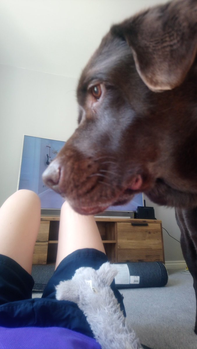 CatDews's tweet photo. Oliver and I had an extra person joining in this morning he wanted to play #pewithjoewicks @JCAWakefield @thebodycoach https://t.co/IW5SaELTMX