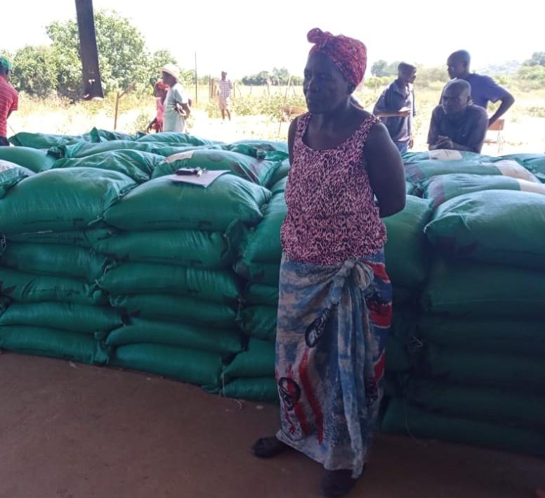 faosfsafrica's tweet photo. ...especially on the poor &amp; most vulnerable . In #Zimbabwe, @FAOSFSAfrica continues to work with communities, ensuring minimum disruption to ongoing projects. Implementation of the Zimbabwe Idai Recovery Project (@ZIRP_Zimbabwe), funded  by #WorldBank and managed by @UNOPS... https://t.co/nKqGI8SyrU