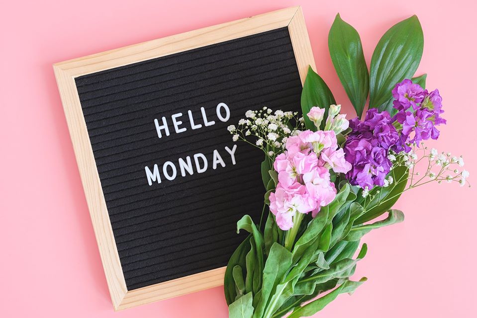 GSLawnCareUK's tweet photo. Hello Monday 💚

We hope you are all staying safe and keeping well during these unprecedented times.

#mondaymotivation #monday #staysafe #stayathome https://t.co/51prmdZ5WV
