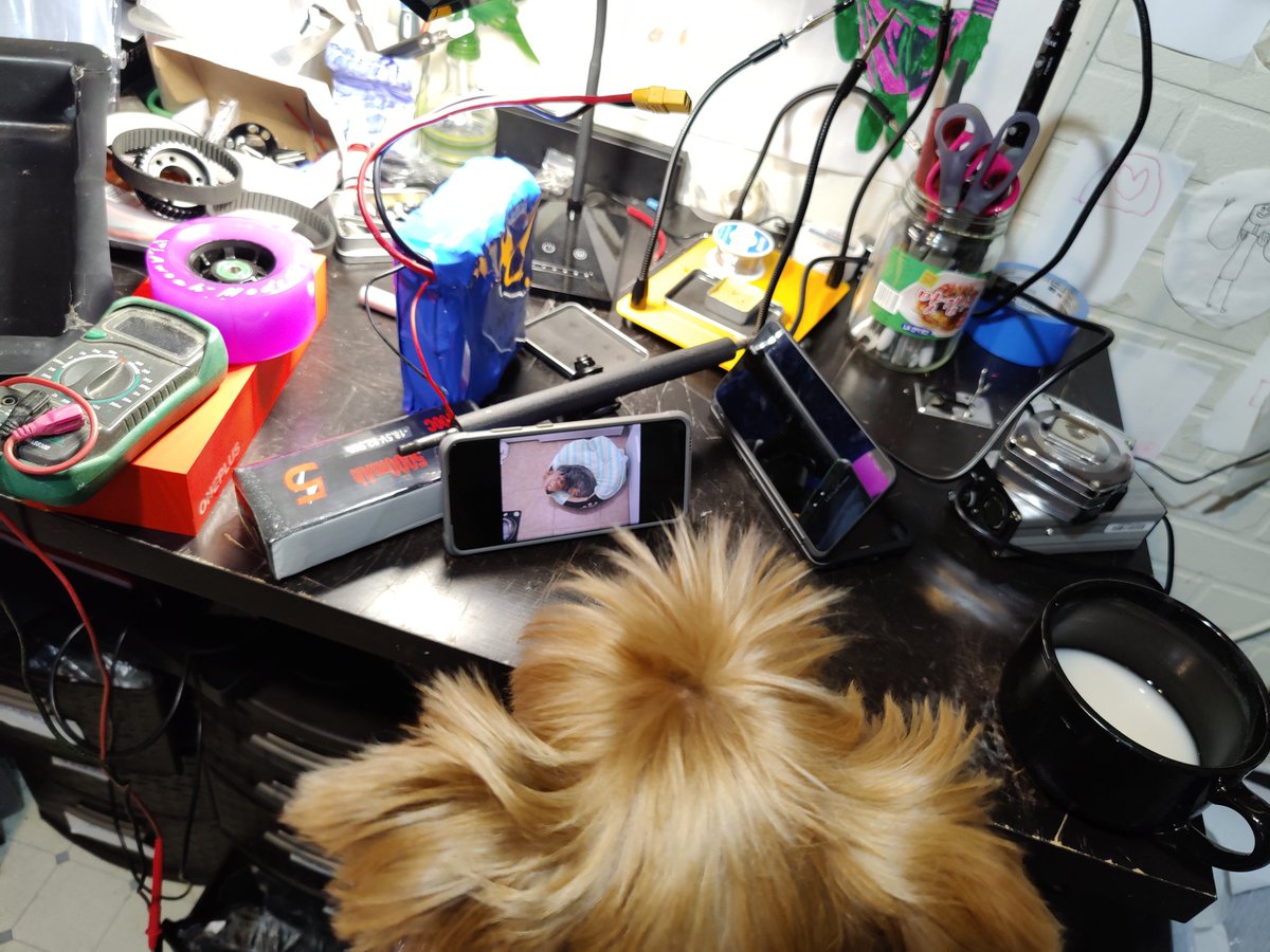 zedomax's tweet image. Yorkie watching Yorkie on YouTube.  

#OnePlus8Plus