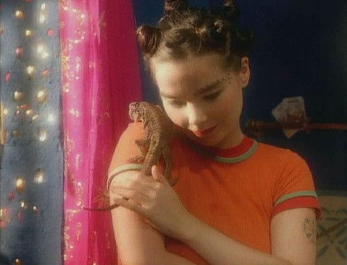 Venus As A Boy (1993)The video portrays Björk in a kitchen, fondling and cooking eggs. At one point, she's seen caressing a bearded dragon. The video was inspired by the book Story of the Eye by Georges Bataille.