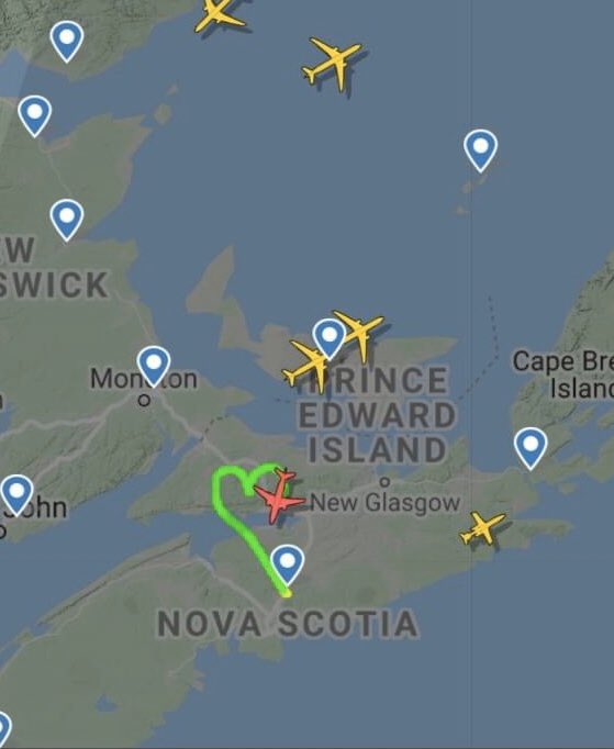 MOVE 100 tweet media