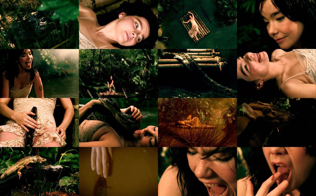 Alarm Call (1998)It features Björk floating on a raft on a river in the jungle and her scenes are intercut with footage of snakes, crocodiles, and other animals, with Björk playing with them.