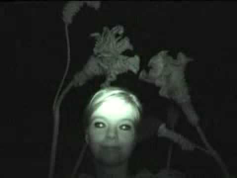 It's In Our Hands (2002)Shot in night-vision while Björk was pregnant, it features the singer in a forest, as various animals and plants are shot using perspective, which makes them appear larger than the singer.