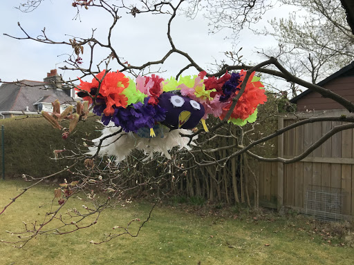HazAcadSocSubs's tweet photo. An entry in our S2 #RainforestAnimal comp! This bird lives in the emergent layer, has a 5" tongue for reaching berries, superior eyesight and a 2-lobed brain so half can sleep while the other stays conscious to hunt prey and avoid predators! Well done Victoria #AberdeenLearns https://t.co/uBBw1OBL5P