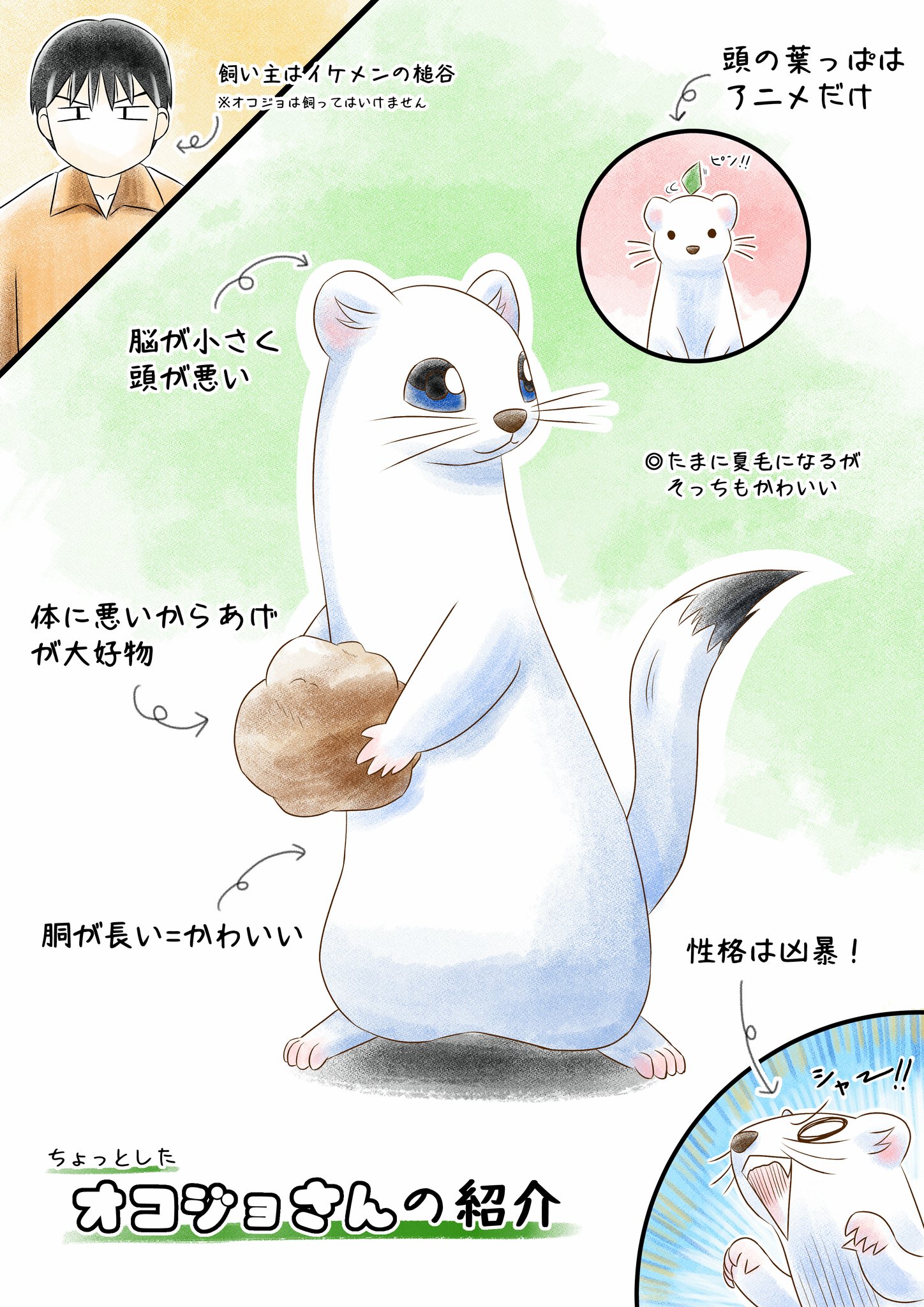 ワタガシk 白泉社さんのマンガparkで先日全巻無料公開されたオコジョさん ゆるかわな感じの漫画で 過去にはアニメ化もされた良作 どちらも面白いのでこの機会に普及 オコジョ オコジョさん T Co 3usdo8fpjz Twitter