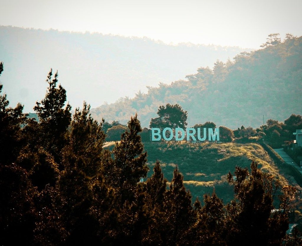 nocontextbodrum tweet picture