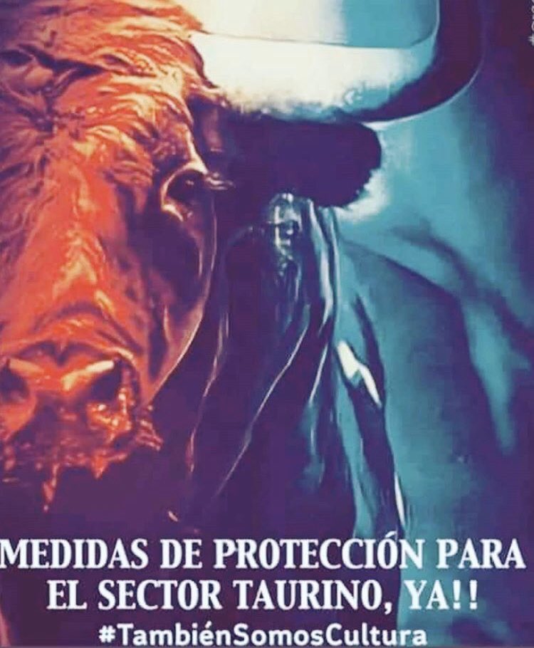 ιnfor. EL ARQUEÑO (@elarquenoficial) on Twitter photo 